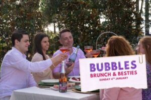 Bubbles Brunch Bestie website tile