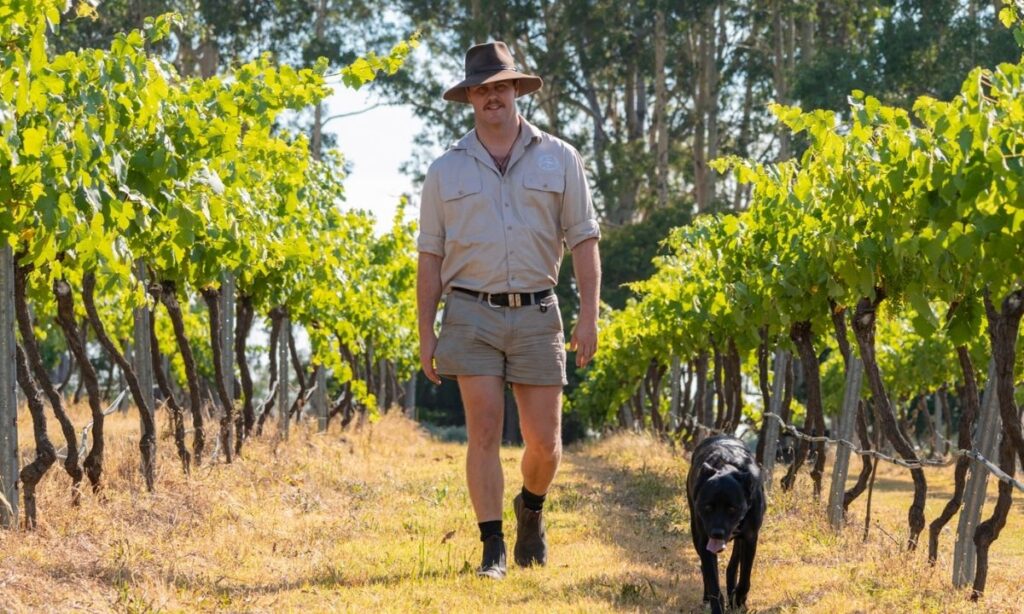 Sam Rumpit Saddlers vineyard